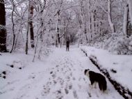 Wirral Snow